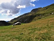 30 Alla Bocchetta di Camplano devio a dx  sul sent. 237  dx in decisa salita per Bocchetta di Cimetto, Bocchetta e Cima di  Grem  